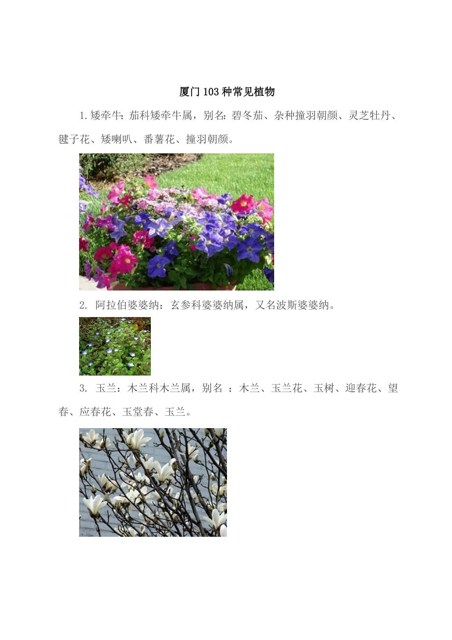 厦门103种常见植物_第1页