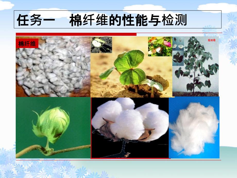 棉纤维性能与检测ppt课件_第1页