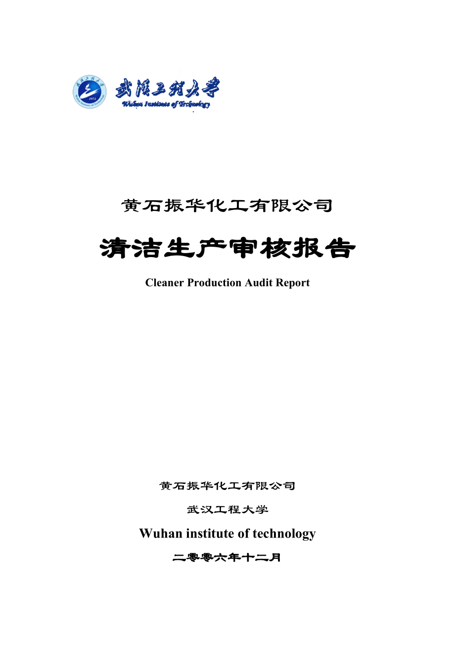 振华清洁生产审核报告(12.3)_第1页