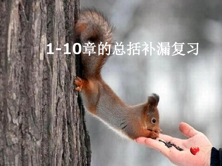 高中生物会考知识点复习(思维导图)PPT课件_第1页