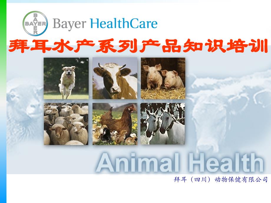 欣碘 拜耳水产系列产品知识培训_第1页