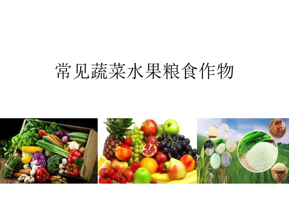 常见蔬菜水果粮食作物图文_第1页
