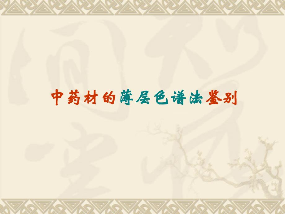 中药材薄层层析_第1页