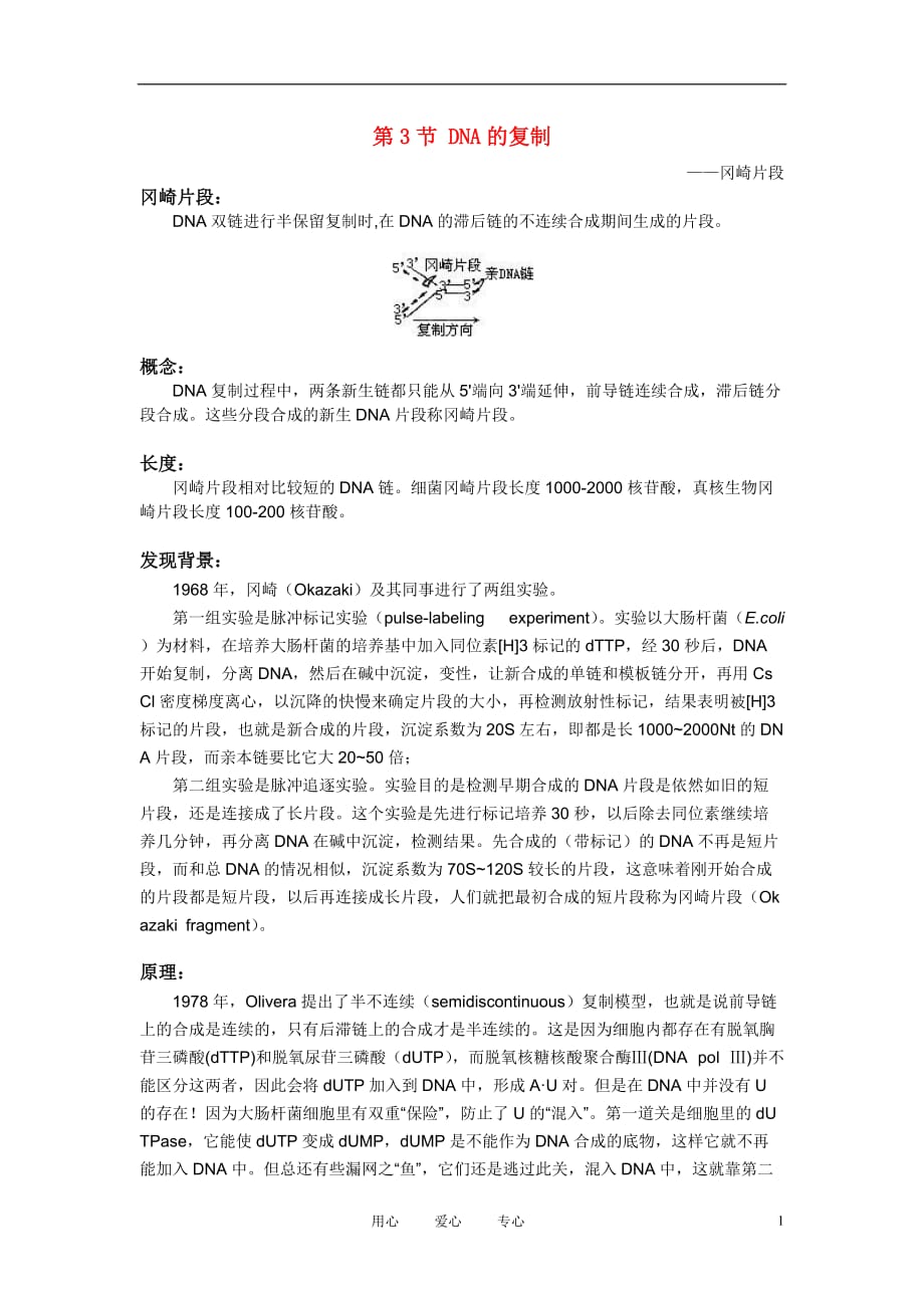 高中生物DNA的复制文字素材5必修2.doc_第1页