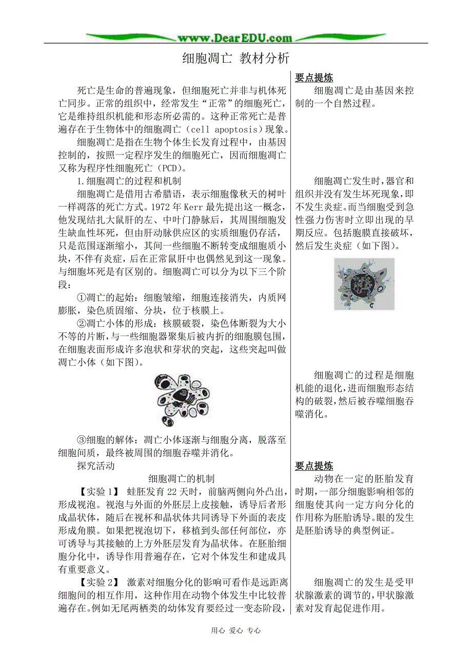 高中生物细胞凋亡教材分析中图必修1.doc_第1页
