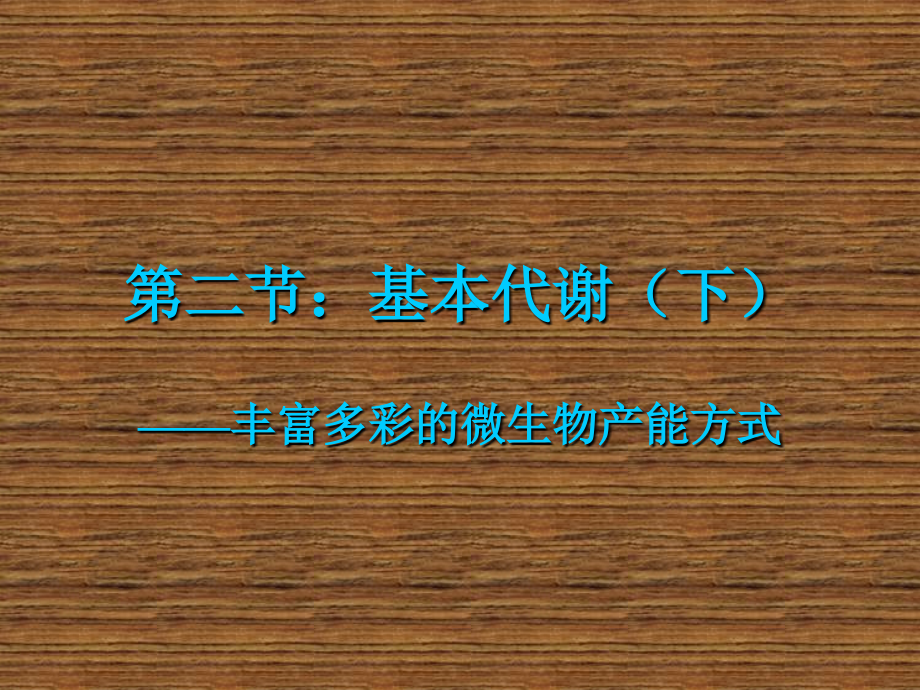 微生物的新陈代谢2_第1页