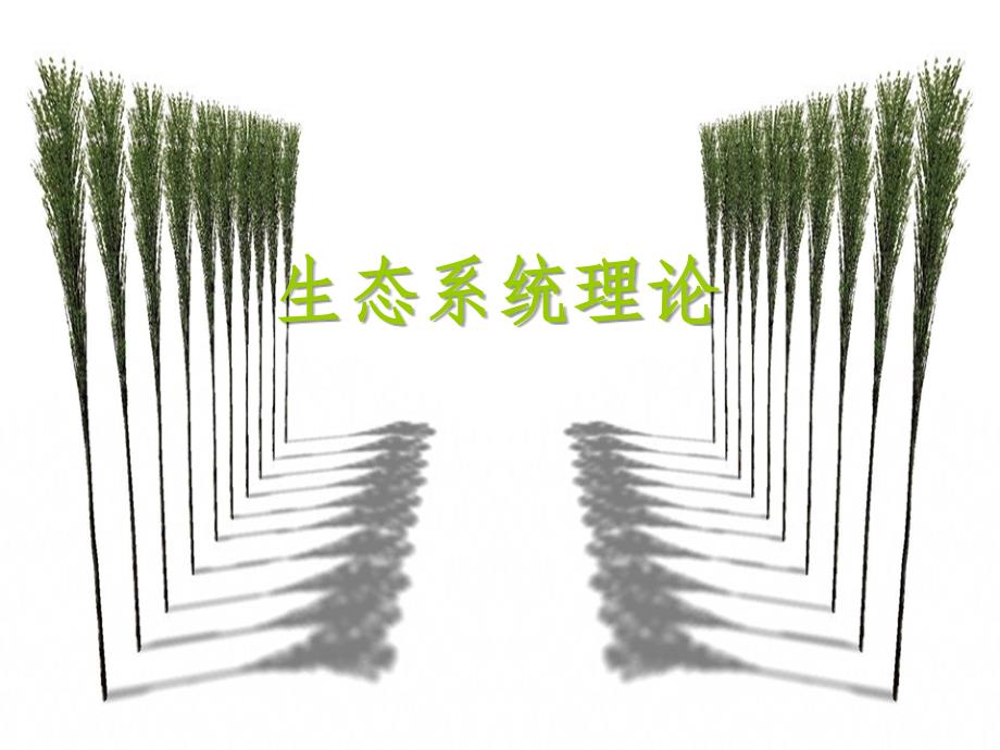 生态系统理论ppt课件_第1页