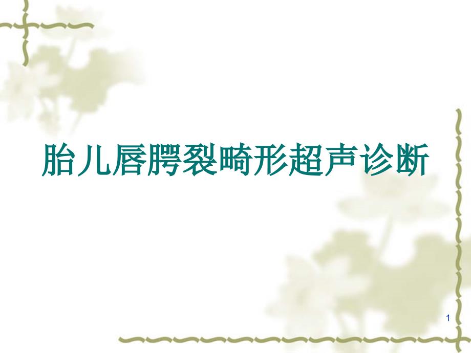 唇腭裂PPT参考幻灯片_第1页