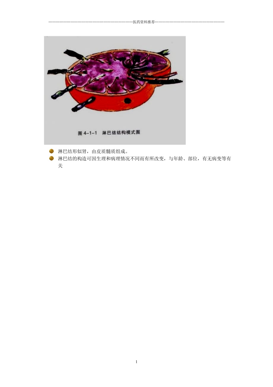 淋巴结超声诊断精编版_第1页