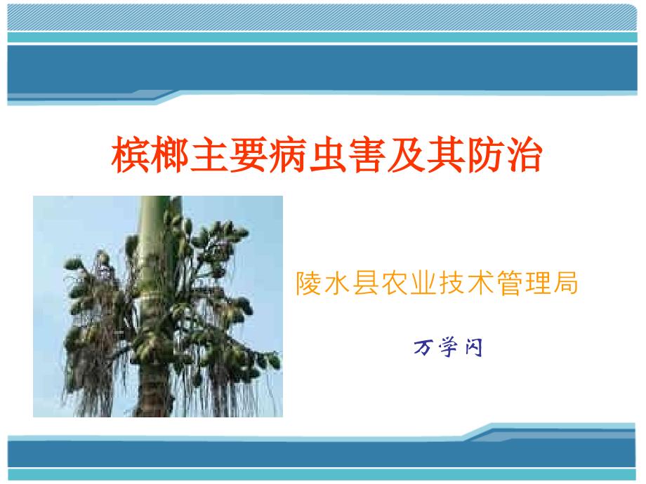 槟榔主要病虫害防治技术备课讲稿_第1页