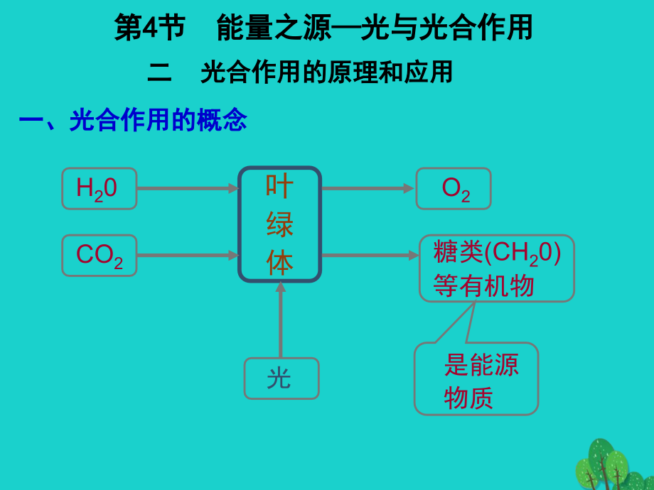 湖南长沙高中生物5.4光合作用的原理和应用必修1.ppt_第1页