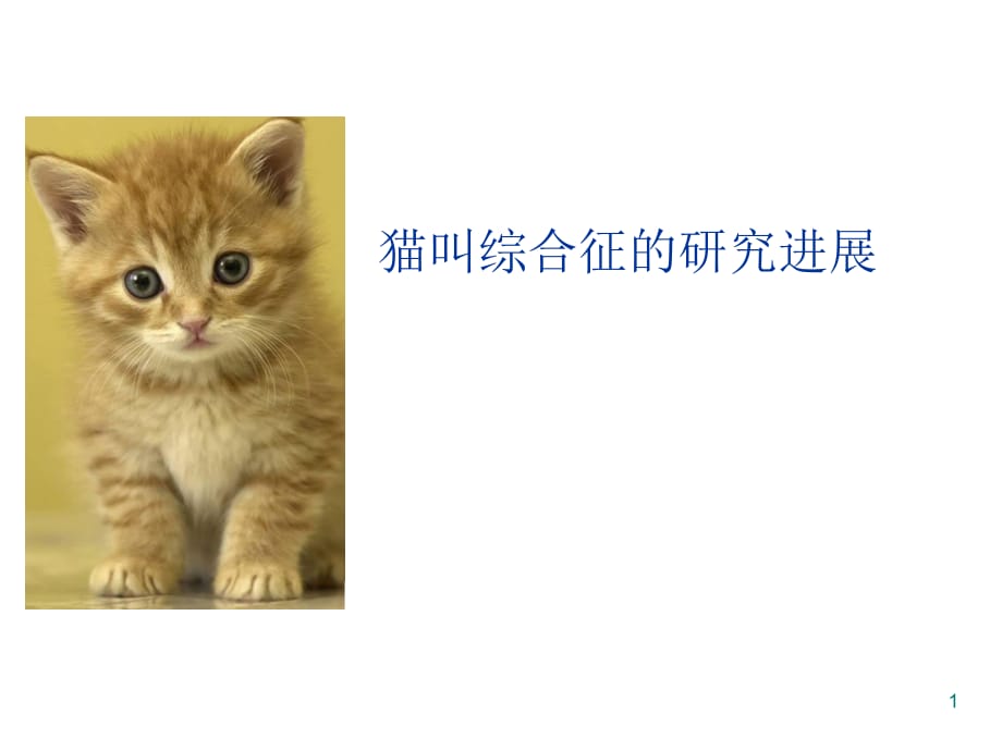 猫叫综合征PPT参考幻灯片_第1页