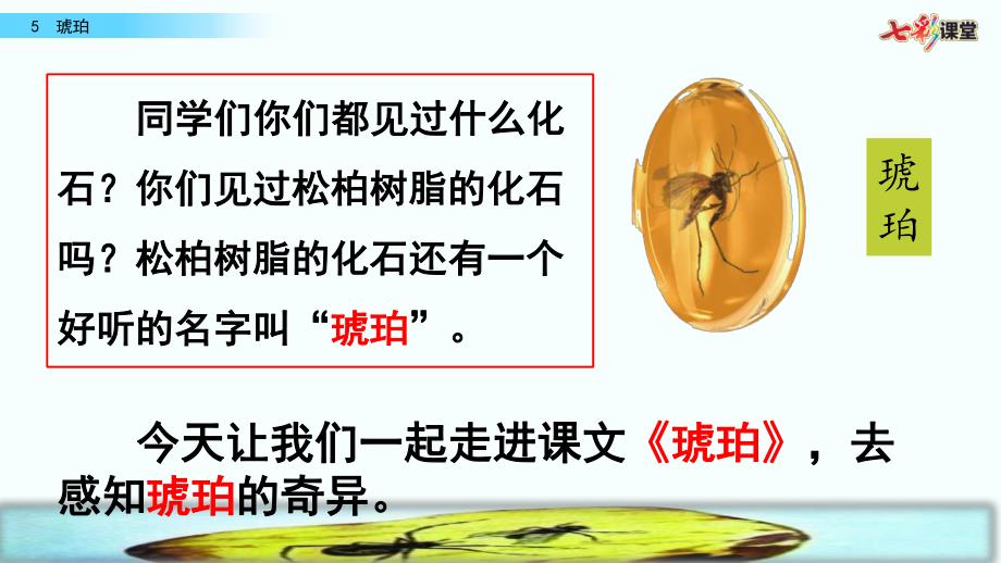 部编版四年级下册语文5琥珀_第1页