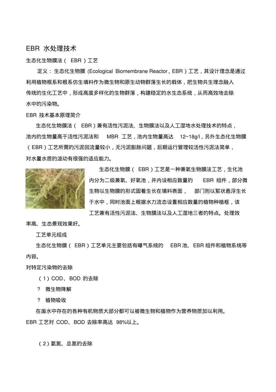EBR水处理技术讲解学习._第1页