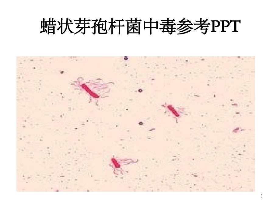 蜡状芽孢杆菌中毒参考PPT_第1页