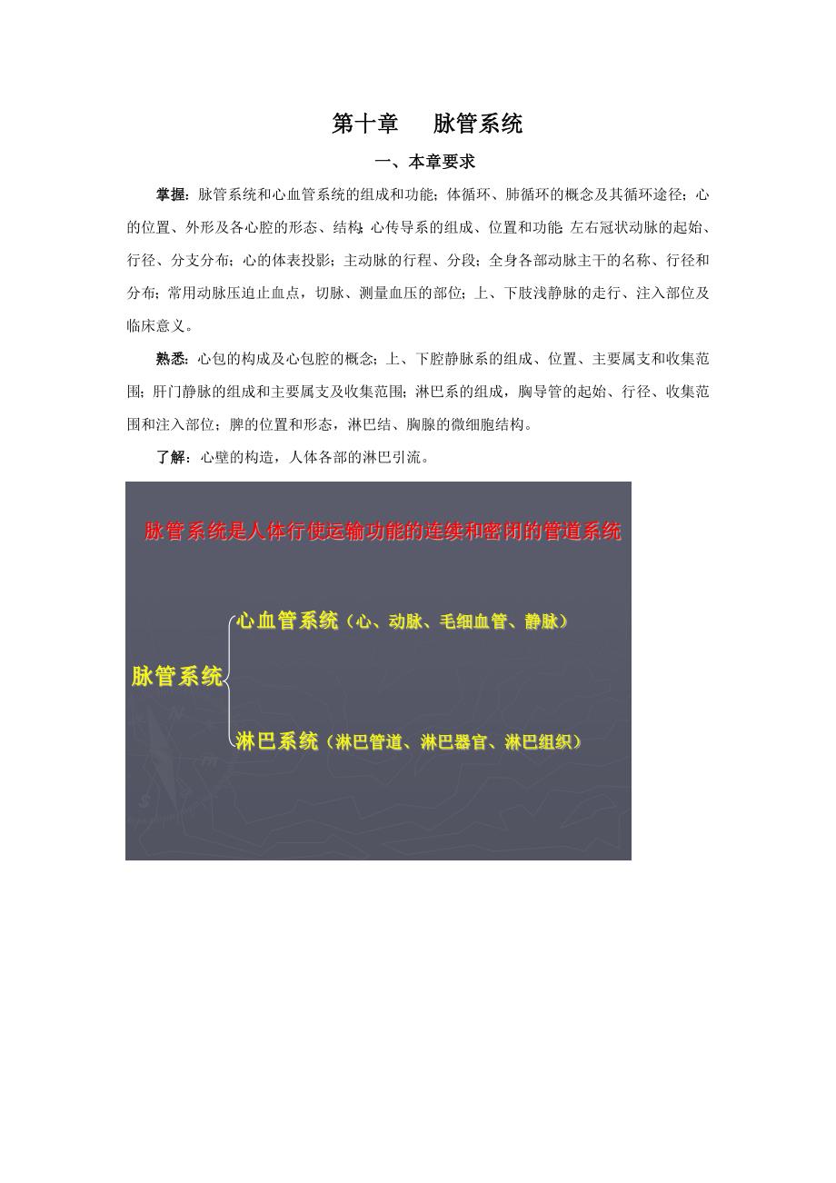系统解剖——脉管系统.doc_第1页