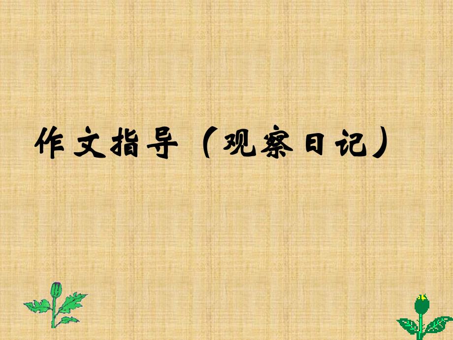 作文指导(泡豆芽观察日记)71766精编版_第1页