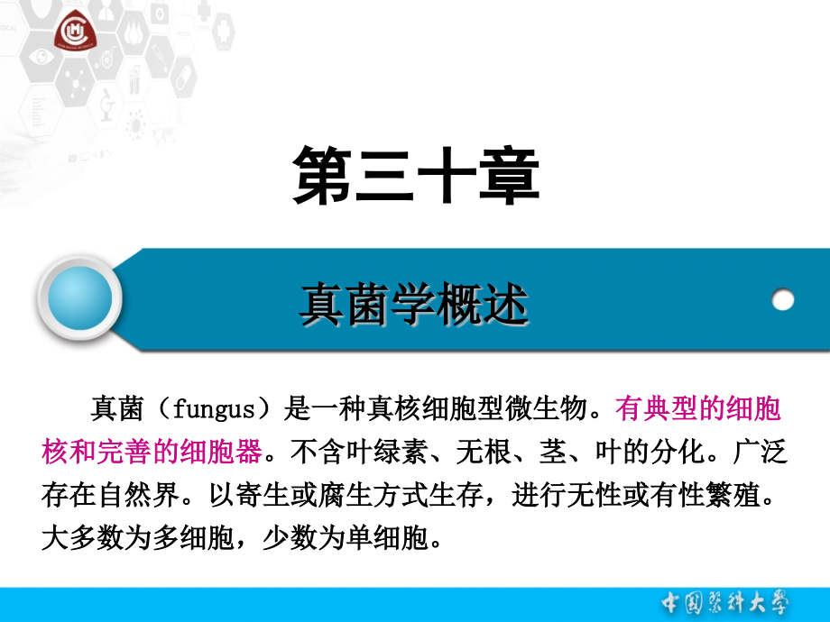 中国医科大学真菌课件PPT_第1页