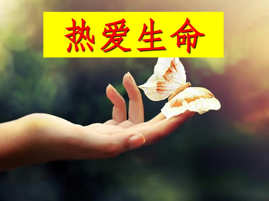 《热爱生命》蒙田ppt课件_第1页