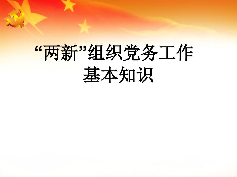 “两新组织”党组织书记培训讲稿讲解学习_第1页
