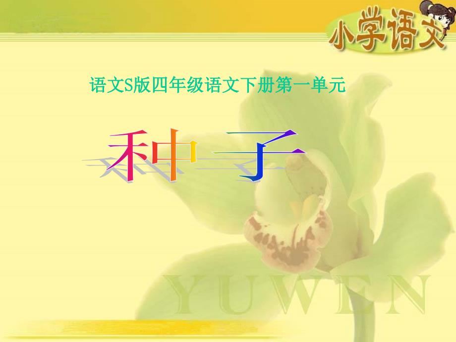 《种子》课件1讲课教案_第1页