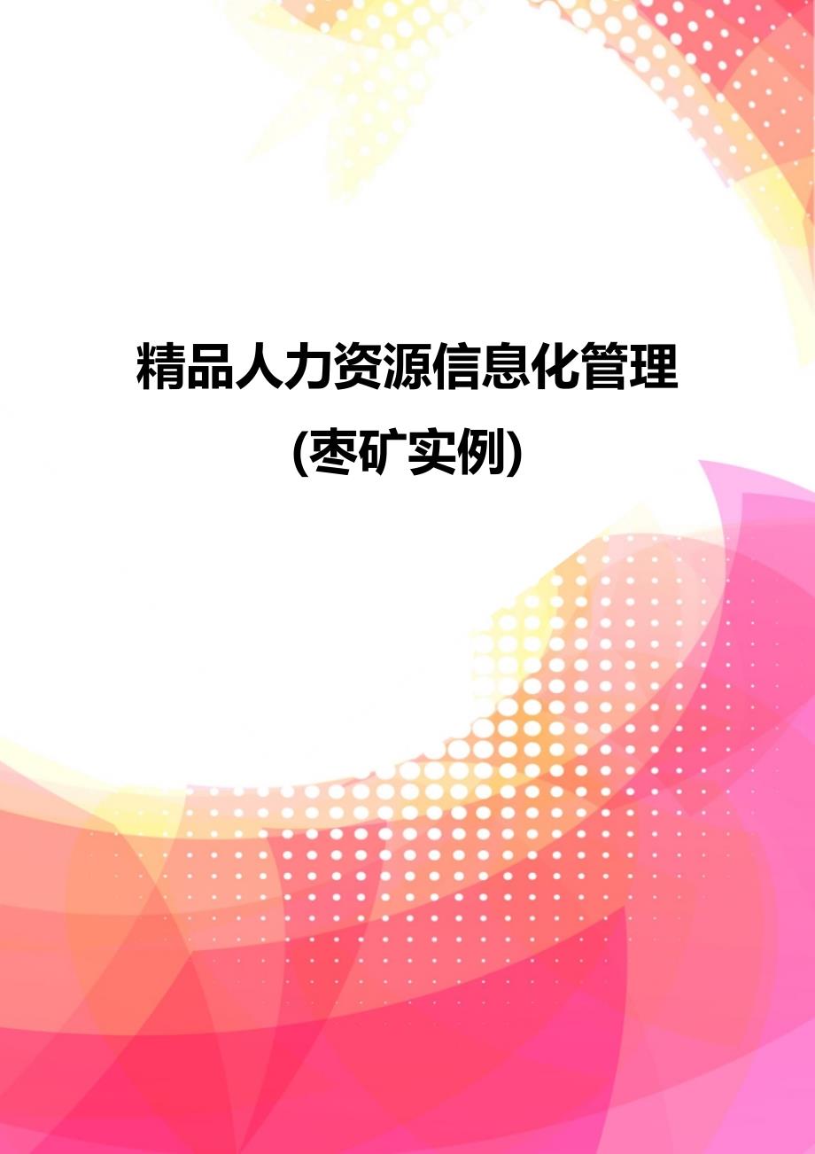 精品人力资源信息化管理(枣矿实例)_第1页