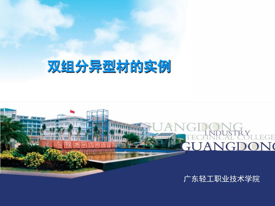 双组分异型材实例课件ppt_第1页