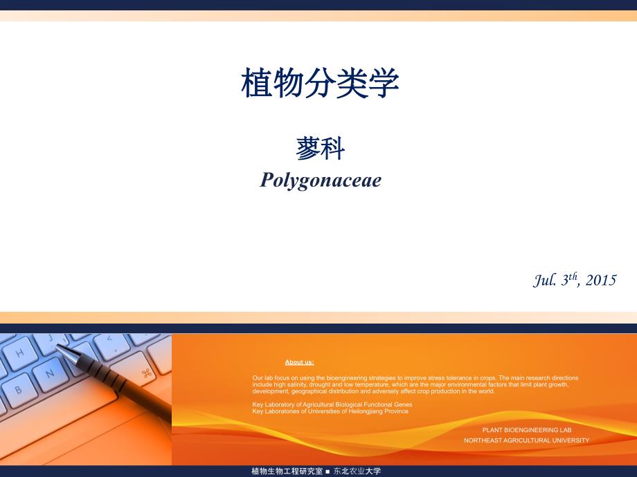 植物分类学-蓼科讲解ppt课件_第1页