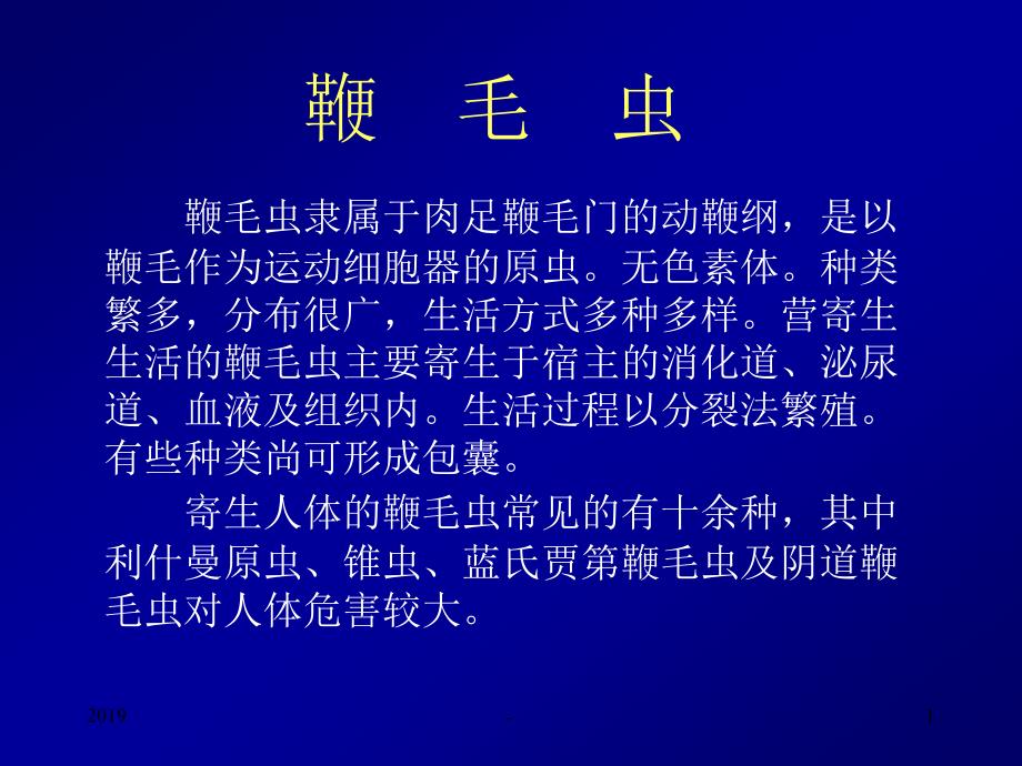 寄生虫医学原虫鞭毛虫ppt课件_第1页