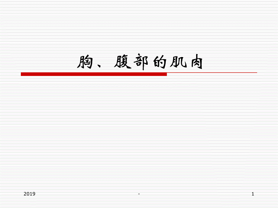 胸、腹部的肌肉ppt课件_第1页