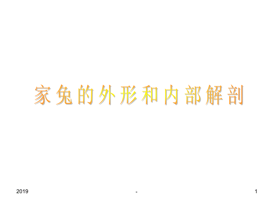 实验四家兔的外形观察和内部解剖ppt课件_第1页