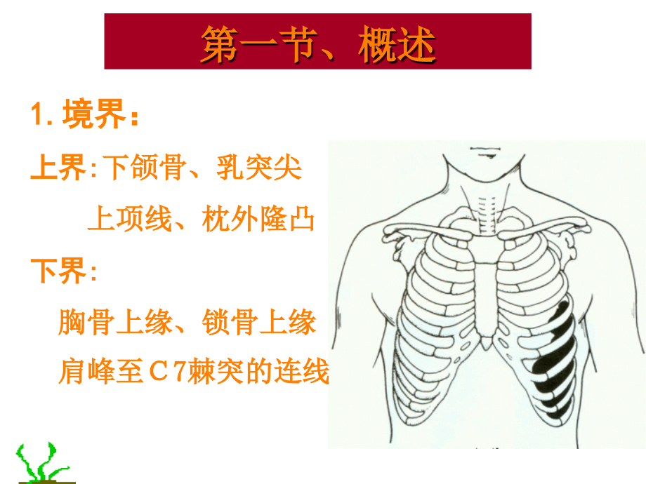 概述——颈前区ppt课件_第1页