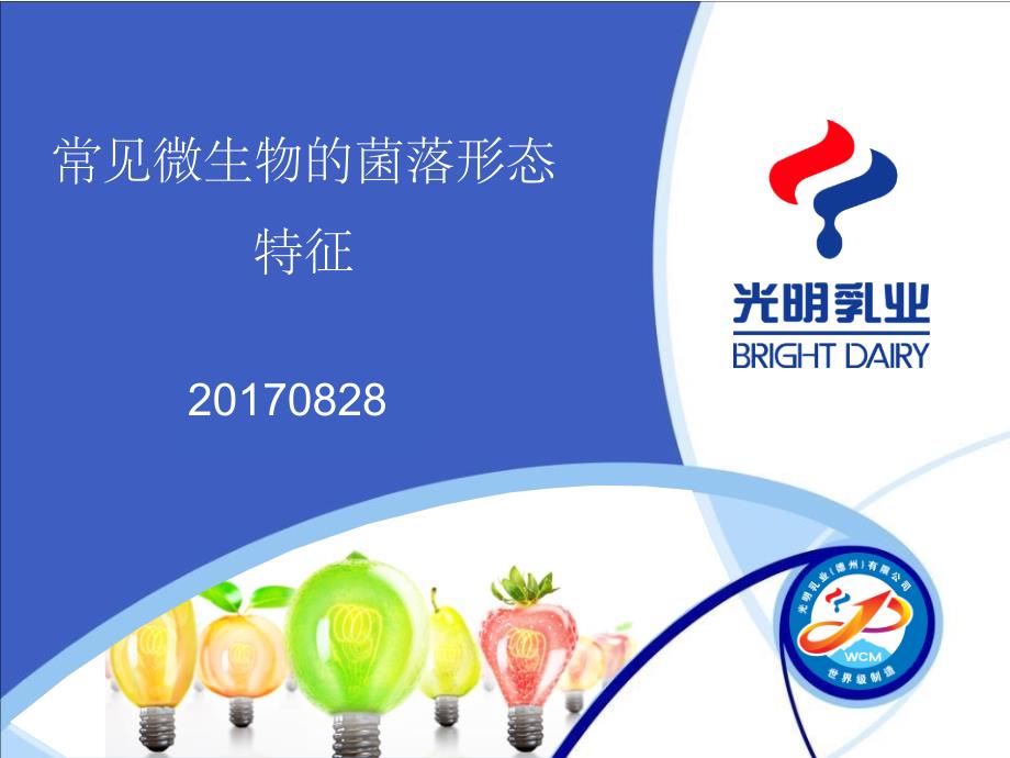 常见微生物菌落形态特征ppt课件_第1页