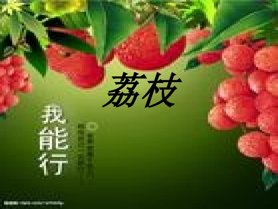 荔枝PPT课件_第1页