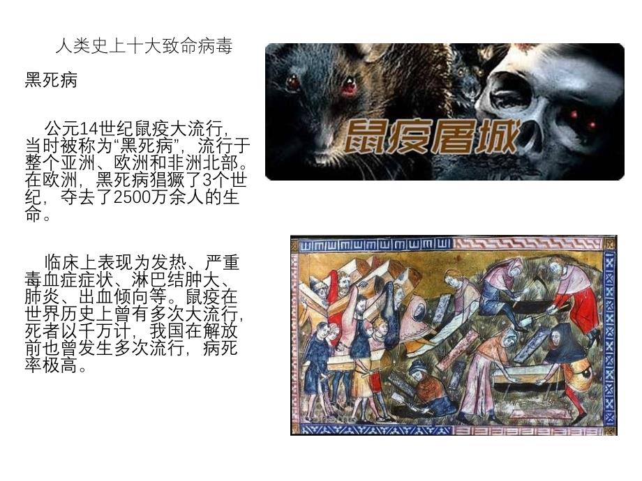 历史10大病毒（五月二十六）.ppt_第1页