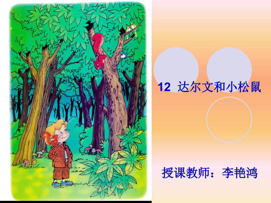 达尔文和小松鼠最新版本_第1页