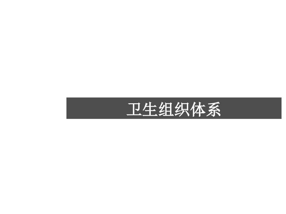 《精编》现代卫生组织体系研讨_第1页