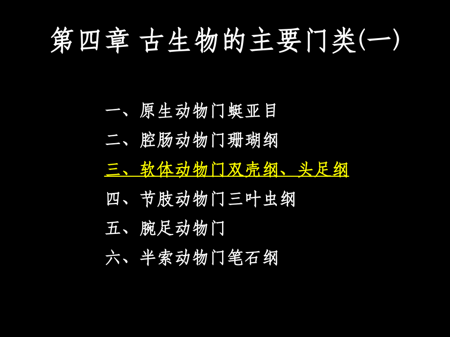 第4-3章 双壳纲_第1页