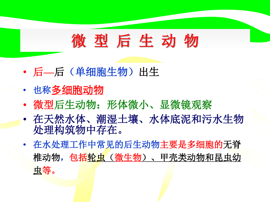 环境微生物学教学课件-7后生动物_第1页