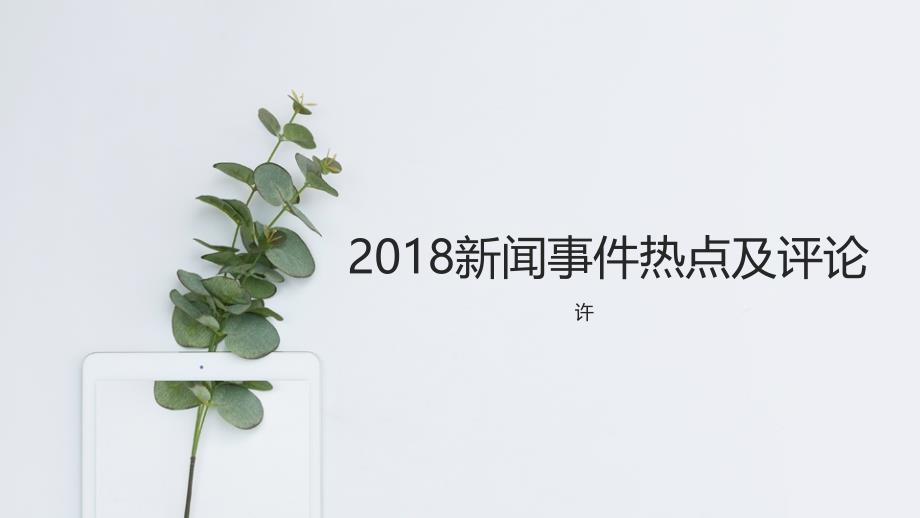 2018新闻事件热点与评论(原创)_第1页