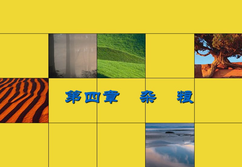 4-1杂粮-谷类.ppt_第1页