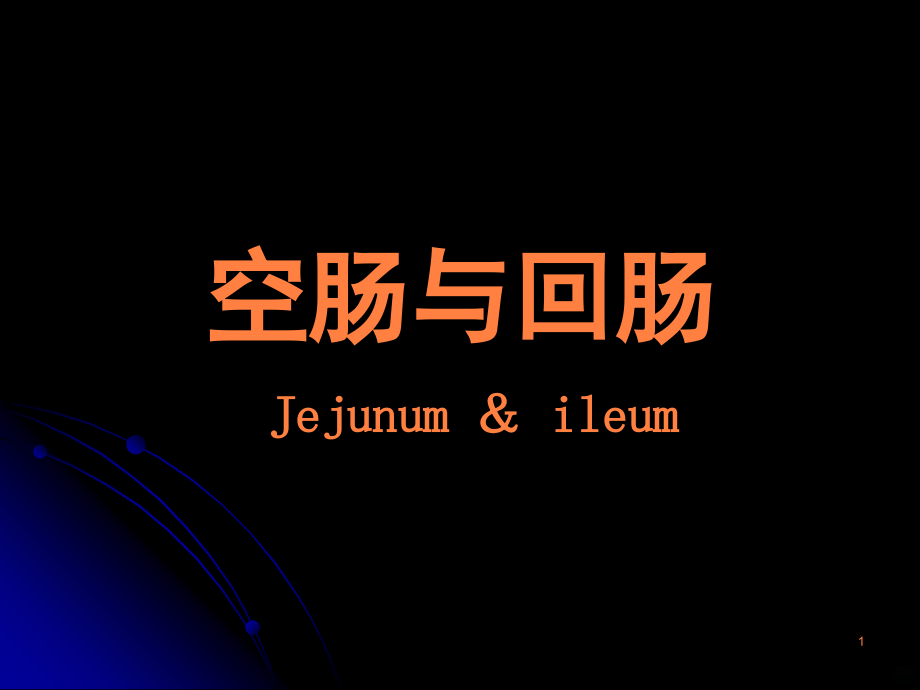 部分：小肠结肠ppt课件_第1页