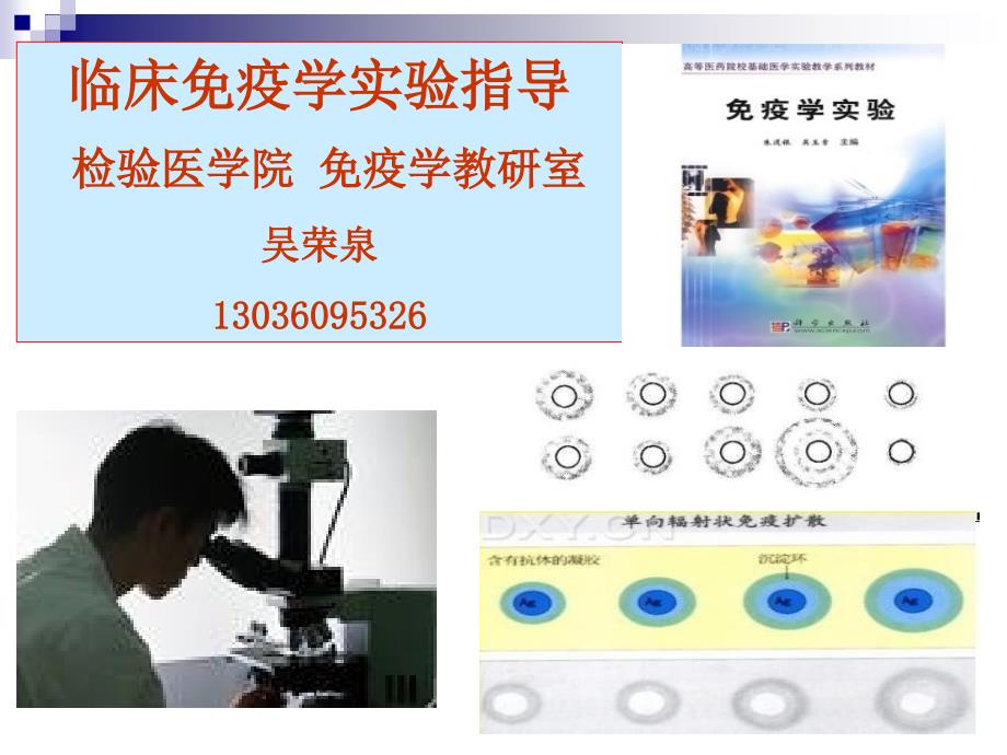 实验三-单向琼脂扩散实验幻灯片课件_第1页