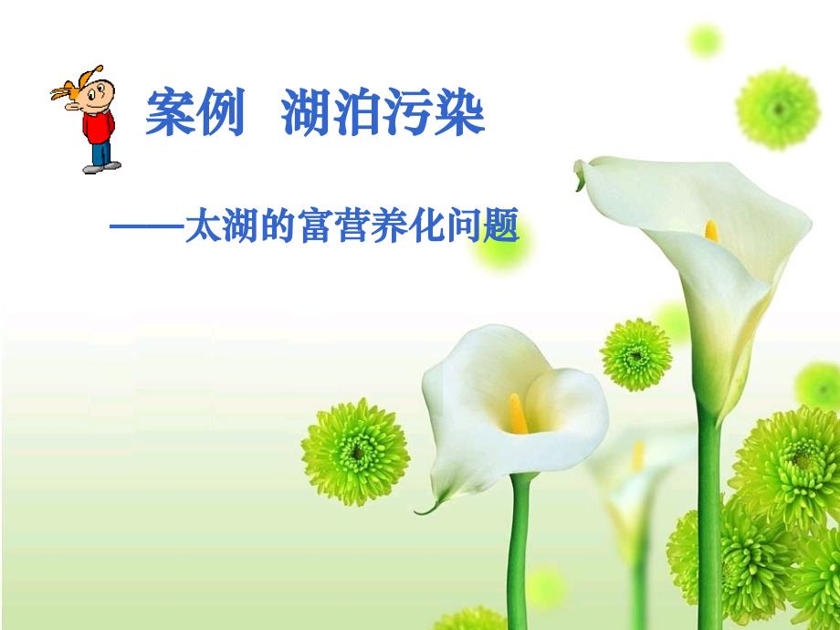 《案例__湖泊污染》-精选课件（公开PPT）_第1页