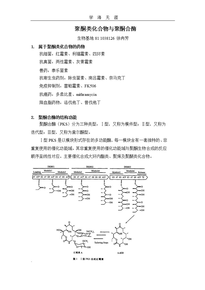 聚酮类化合物（2020年整理）.pptx_第1页