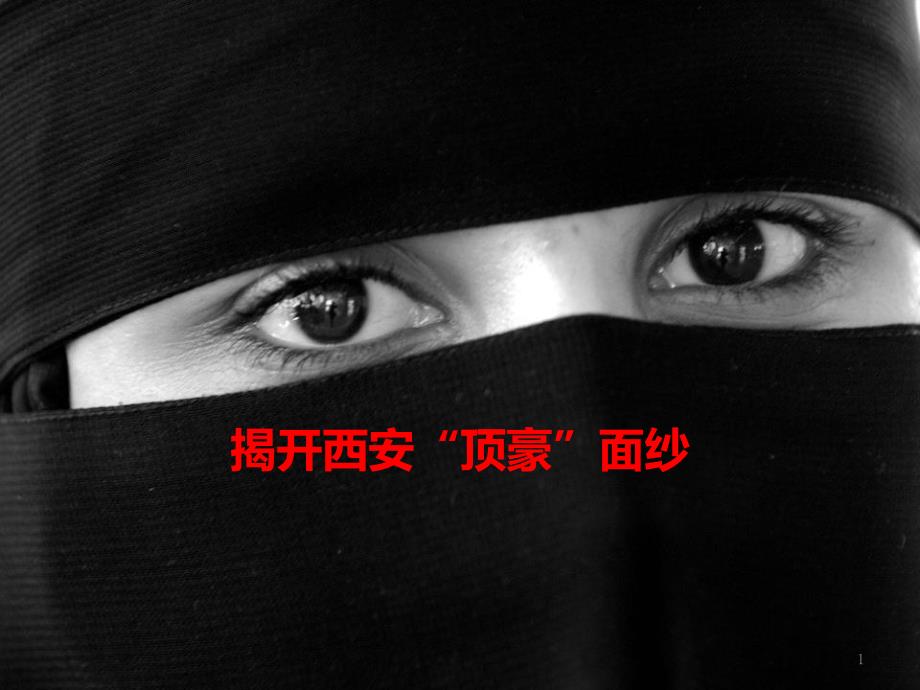 中大国际九号PPT幻灯片课件_第1页