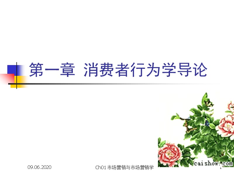 202X年消费者行为学导论 (2)_第1页