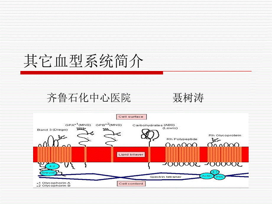 其它血型系统简介研究报告_第1页