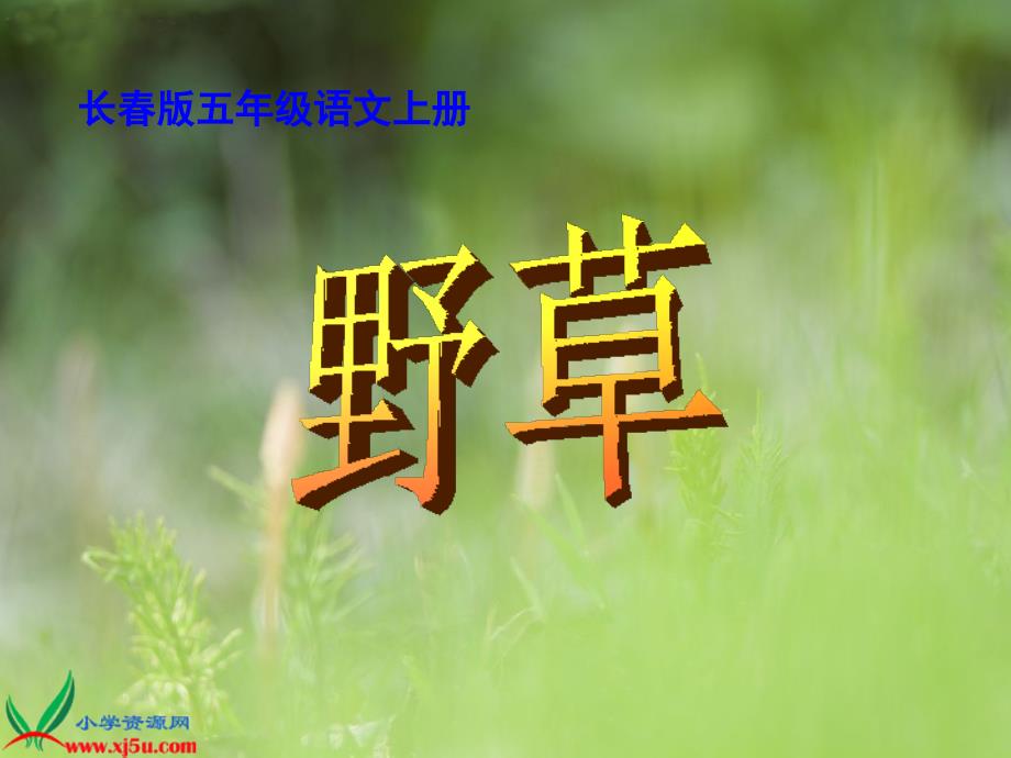 长春版五年级语文上册资料讲解_第1页