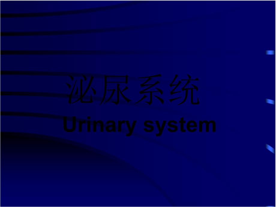 第十六章泌尿系统 .pdf_第1页
